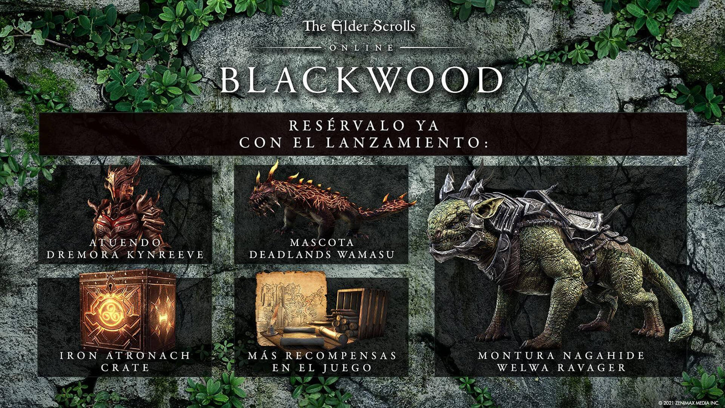 The Elder Scrolls Online: Blackwood Edition for PS4