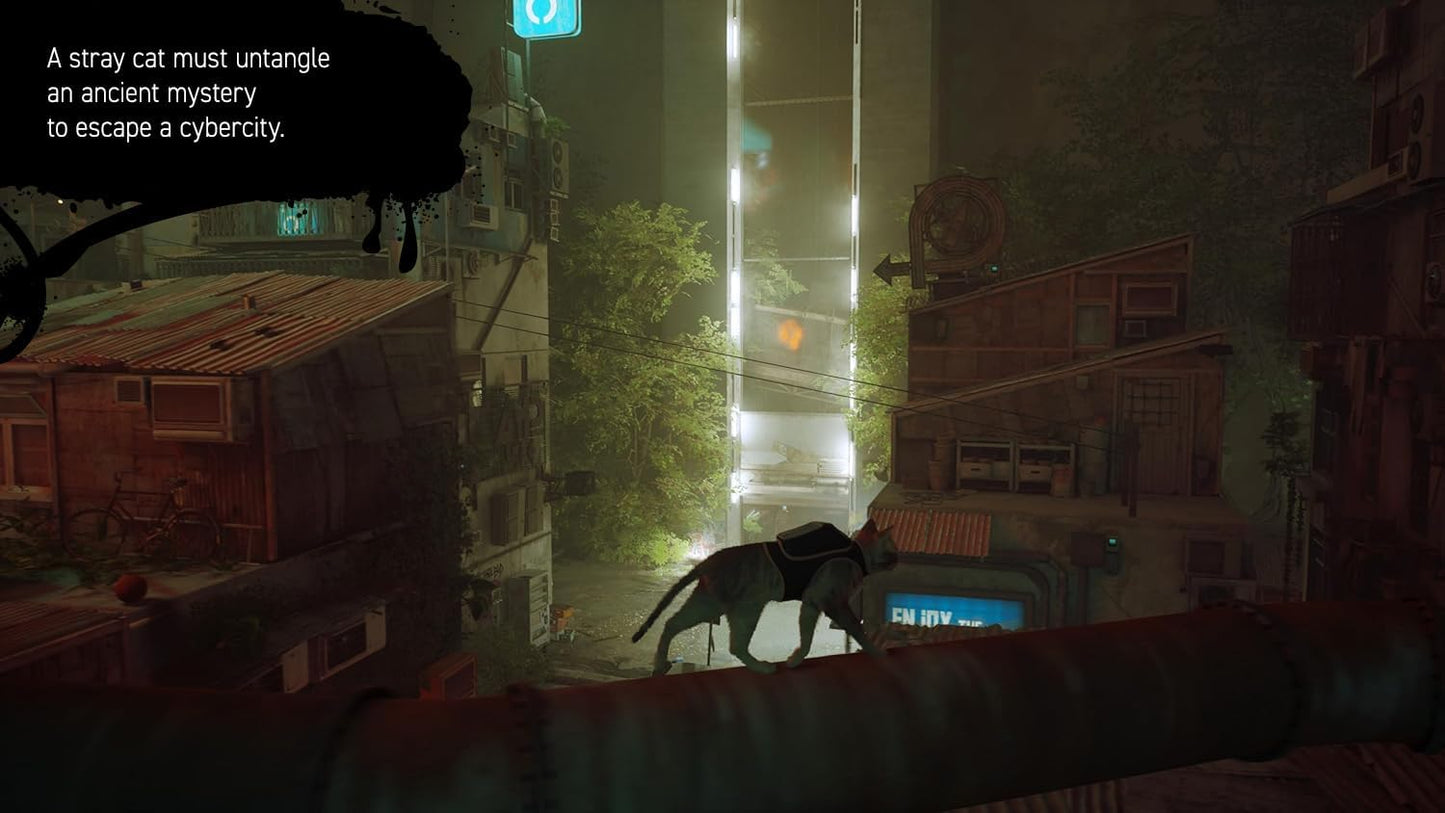 Stray (Nintendo Switch)