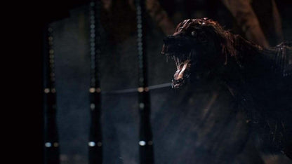 Bloodborne Game of the Year Edition PS4