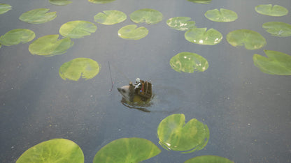 Bramble The Mountain King Nintendo Switch