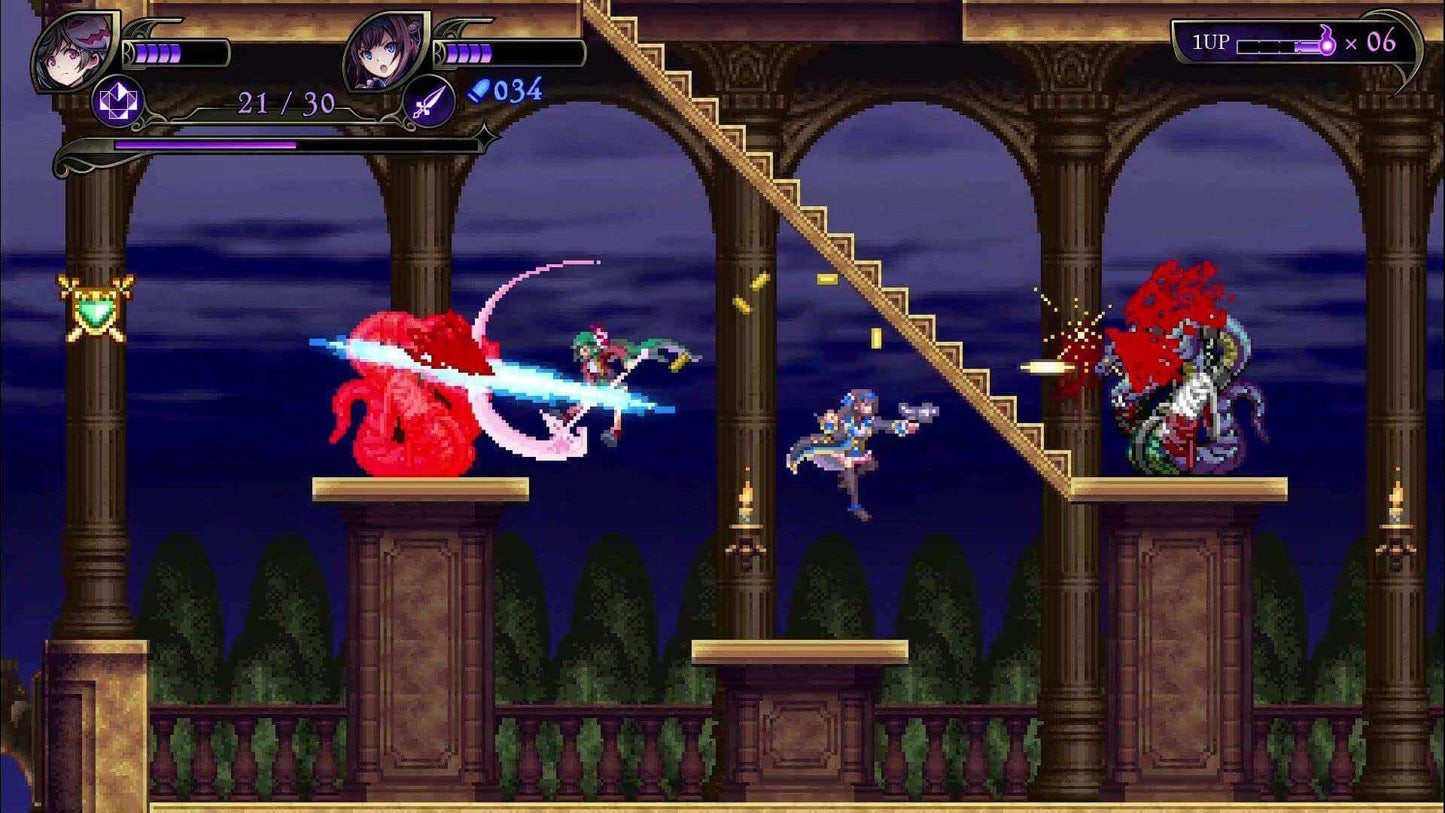 Grim Guardians Demon Purge Nintendo Switch