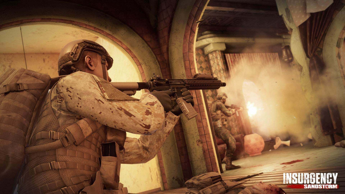 Insurgency Sandstorm PS4