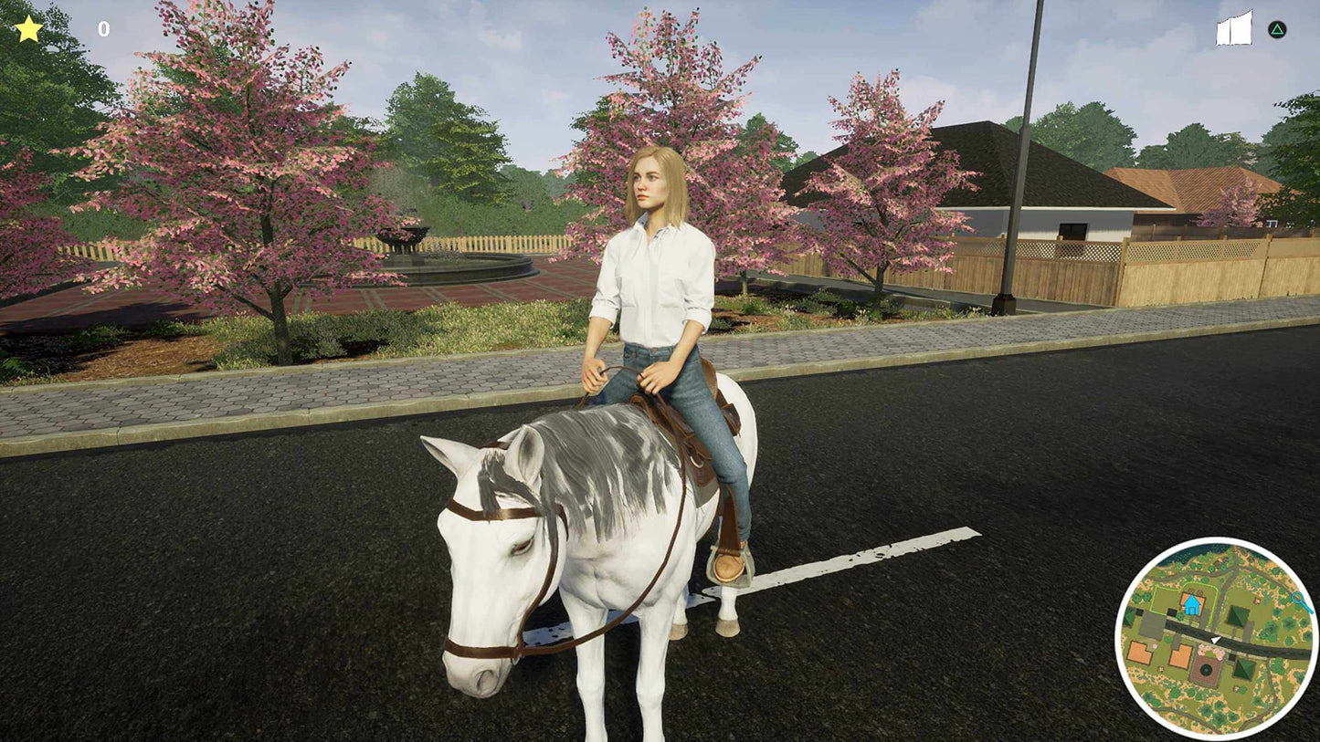 My Life Pet Vet Nintendo Switch