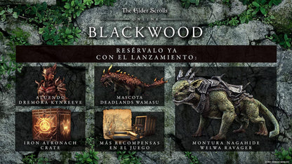 The Elder Scrolls Online: Blackwood Edition for PS4